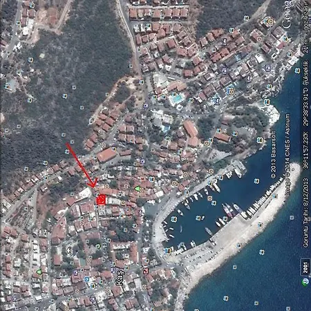 Kadir Kaş